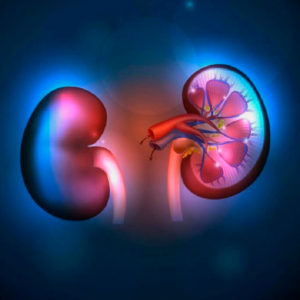 CEN-gammagrafia-renal-dinamica-con-mag3-300×300 CEN-gammagrafia-renal-dinamica-con-mag3-300x300
