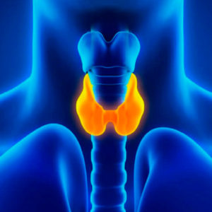 CEN-gammagrafia-tiroidea-300×300 CEN-gammagrafia-tiroidea-300x300